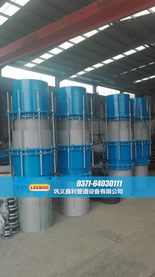 香港機(jī)場(chǎng)東涌灣鋼制伸縮器樣品圖